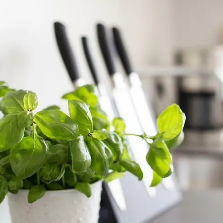 Ediths Wohnen Appartamento *